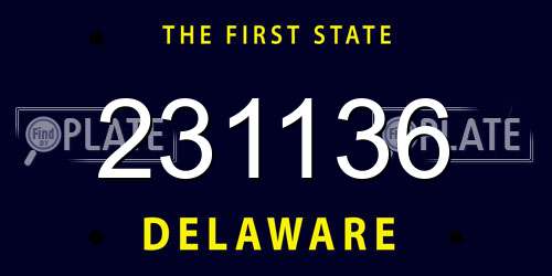 231136 Delaware License Plate