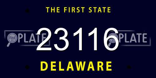23116 Delaware License Plate