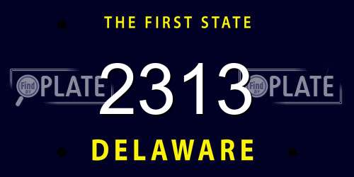 2313 Delaware License Plate