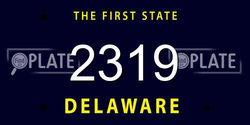 2319 Delaware License Plate