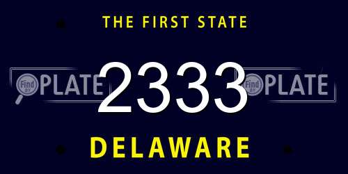 2333 Delaware License Plate