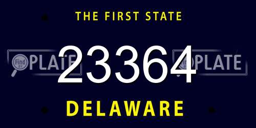 23364 Delaware License Plate