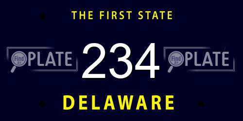 234 Delaware License Plate
