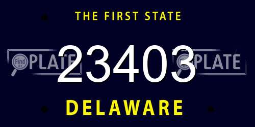 23403 Delaware License Plate