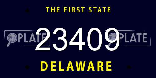 23409 Delaware License Plate
