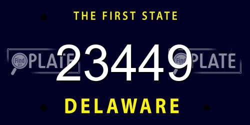23449 Delaware License Plate