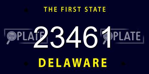 23461 Delaware License Plate