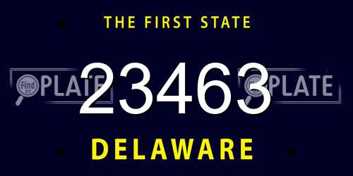 23463 Delaware License Plate