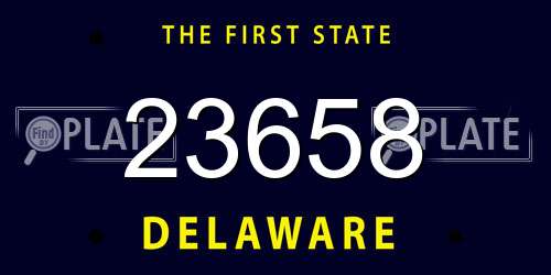23658 Delaware License Plate