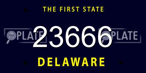 23666 Delaware License Plate