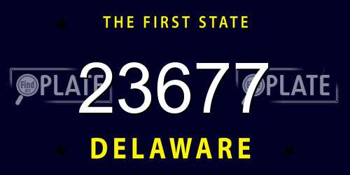 23677 Delaware License Plate