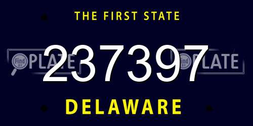 237397 Delaware License Plate