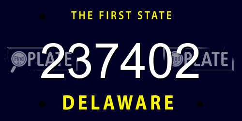 237402 Delaware License Plate
