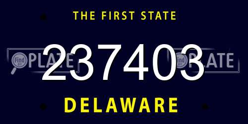 237403 Delaware License Plate