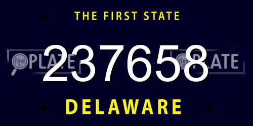 237658 Delaware License Plate