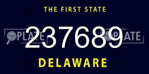 237689 Delaware License Plate