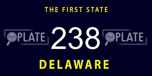 238 Delaware License Plate
