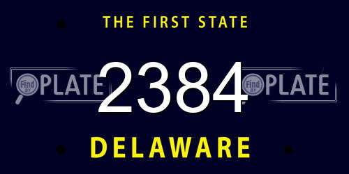 2384 Delaware License Plate
