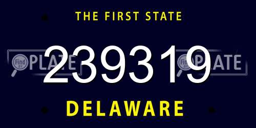 239319 Delaware License Plate
