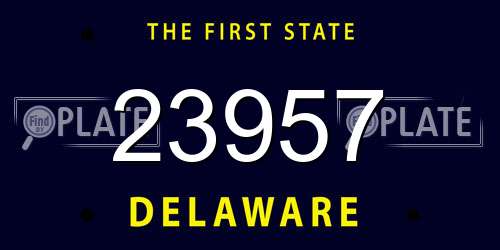23957 Delaware License Plate