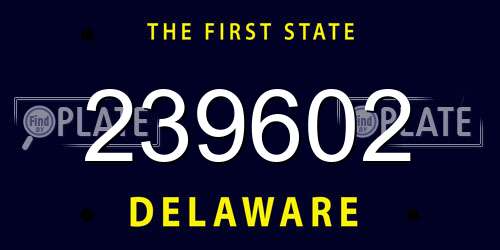 239602 Delaware License Plate
