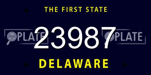 23987 Delaware License Plate