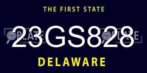 23GS828 Delaware License Plate