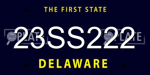 23SS222 Delaware License Plate