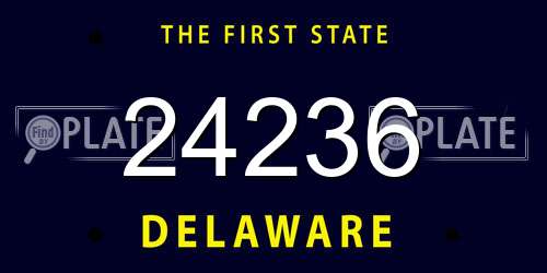 24236 Delaware License Plate
