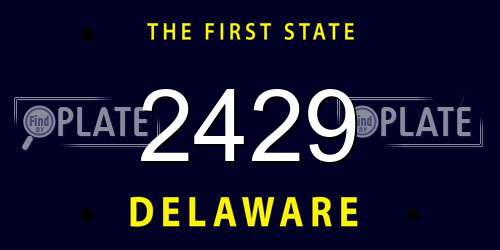 2429 Delaware License Plate