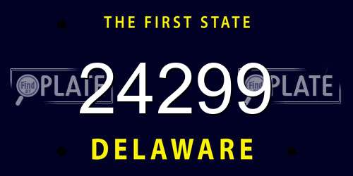 24299 Delaware License Plate