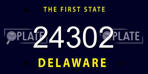 24302 Delaware License Plate