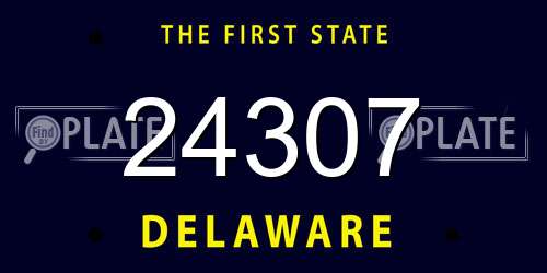 24307 Delaware License Plate