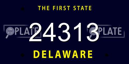 24313 Delaware License Plate