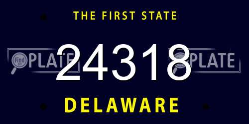 24318 Delaware License Plate