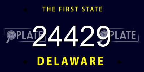 24429 Delaware License Plate
