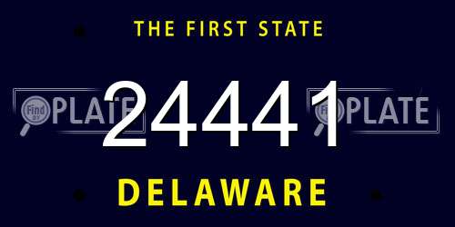 24441 Delaware License Plate