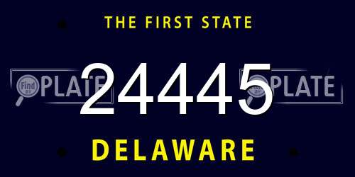 24445 Delaware License Plate