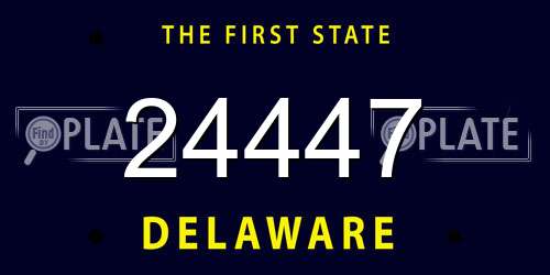 24447 Delaware License Plate