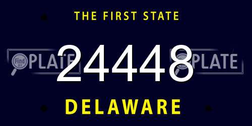 24448 Delaware License Plate