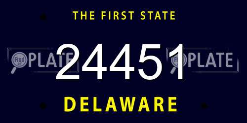 24451 Delaware License Plate