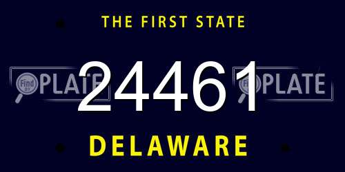 24461 Delaware License Plate