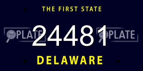 24481 Delaware License Plate