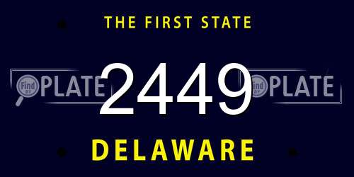 2449 Delaware License Plate