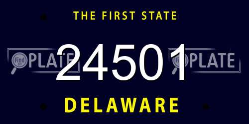 24501 Delaware License Plate