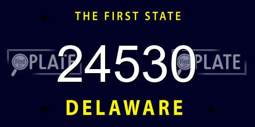 24530 Delaware License Plate