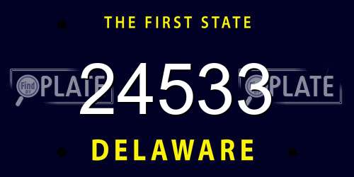 24533 Delaware License Plate