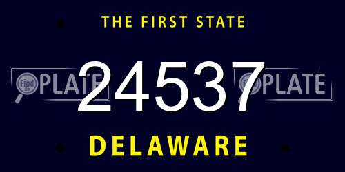 24537 Delaware License Plate