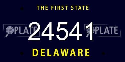 24541 Delaware License Plate