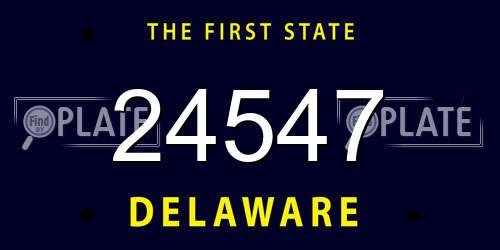 24547 Delaware License Plate